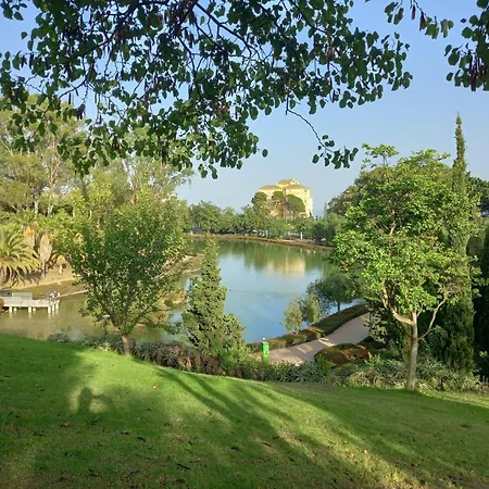 Agata Views